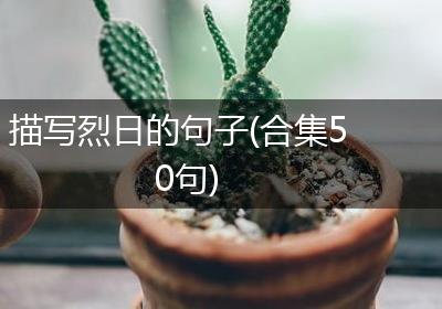 描写烈日的句子(合集50句)