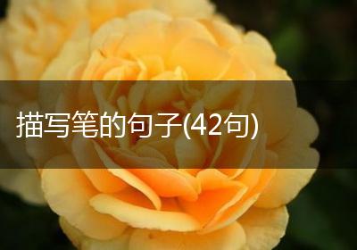 描写笔的句子(42句)