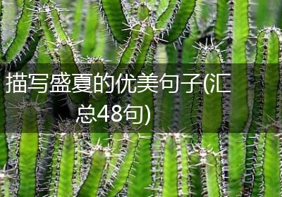 描写盛夏的优美句子(汇总48句)
