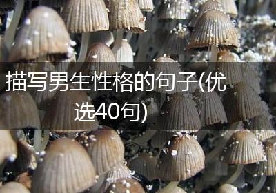 描写男生性格的句子(优选40句)