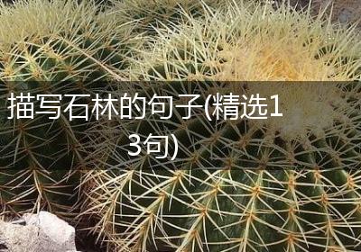 描写石林的句子(精选13句)
