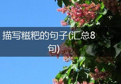 描写糍粑的句子(汇总8句)