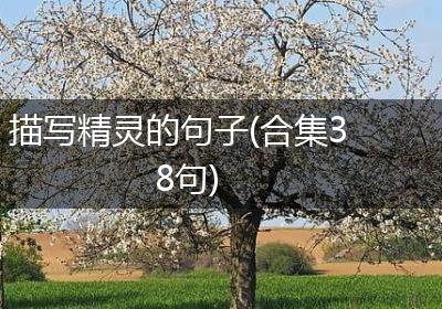 描写精灵的句子(合集38句)