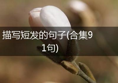 描写短发的句子(合集91句)