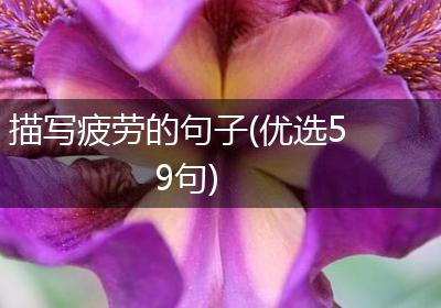 描写疲劳的句子(优选59句)