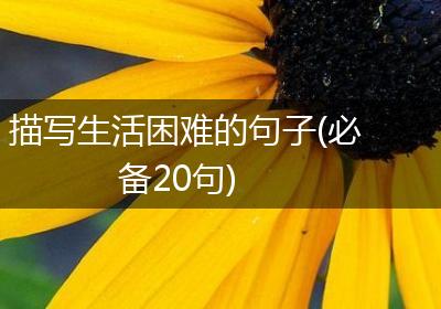 描写生活困难的句子(必备20句)