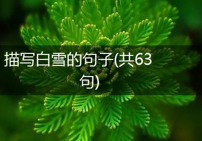 描写白雪的句子(共63句)