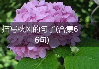 描写秋风的句子(合集66句)