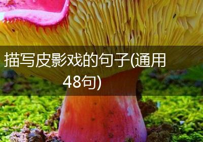 描写皮影戏的句子(通用48句)