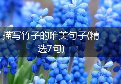 描写竹子的唯美句子(精选7句)