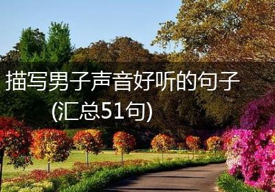 描写男子声音好听的句子(汇总51句)