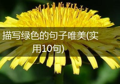 描写绿色的句子唯美(实用10句)