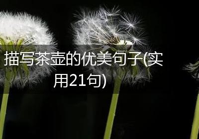 描写茶壶的优美句子(实用21句)