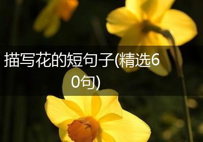 描写花的短句子(精选60句)