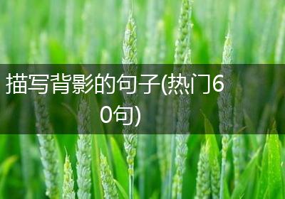 描写背影的句子(热门60句)