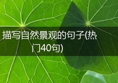描写自然景观的句子(热门40句)