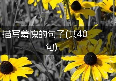 描写羞愧的句子(共40句)