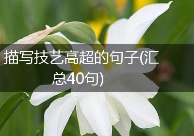 描写技艺高超的句子(汇总40句)