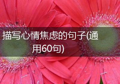 描写心情焦虑的句子(通用60句)