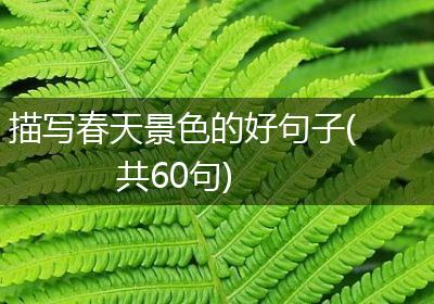 描写春天景色的好句子(共60句)