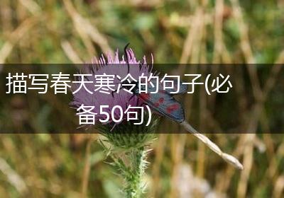 描写春天寒冷的句子(必备50句)