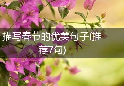 描写春节的优美句子(推荐7句)