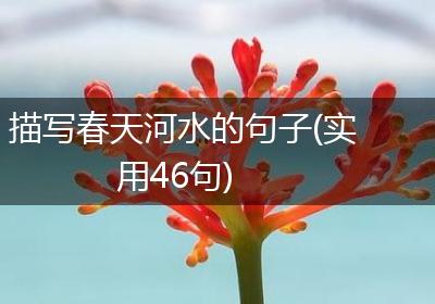 描写春天河水的句子(实用46句)