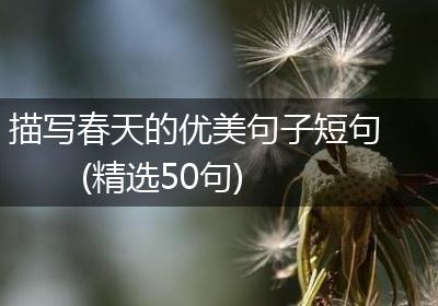 描写春天的优美句子短句(精选50句)