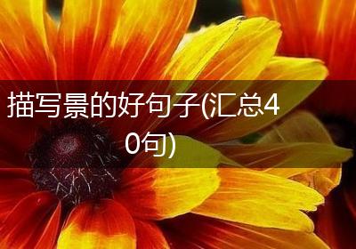 描写景的好句子(汇总40句)