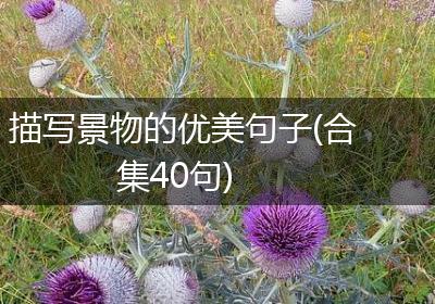 描写景物的优美句子(合集40句)