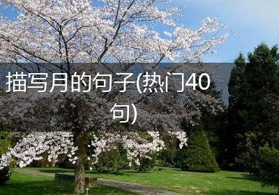 描写月的句子(热门40句)