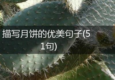 描写月饼的优美句子(51句)