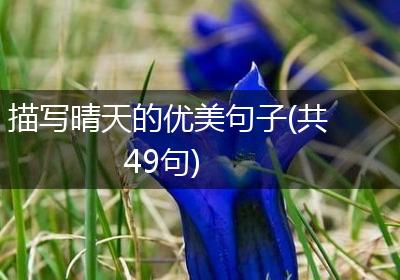 描写晴天的优美句子(共49句)