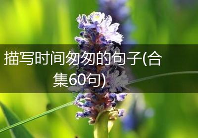 描写时间匆匆的句子(合集60句)