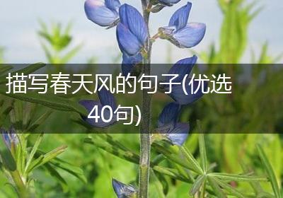 描写春天风的句子(优选40句)
