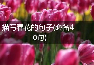 描写春花的句子(必备40句)