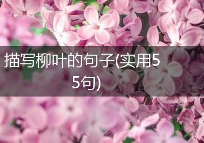 描写柳叶的句子(实用55句)