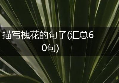 描写槐花的句子(汇总60句)