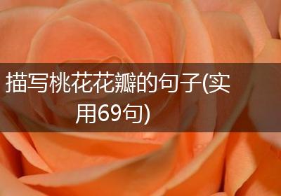 描写桃花花瓣的句子(实用69句)