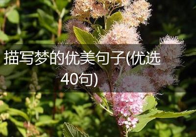 描写梦的优美句子(优选40句)