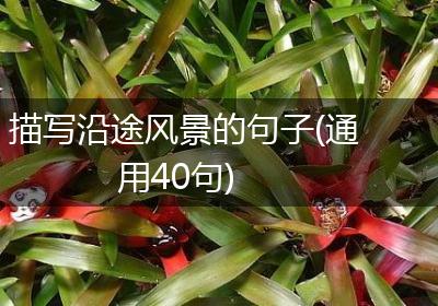 描写沿途风景的句子(通用40句)