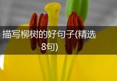 描写柳树的好句子(精选8句)
