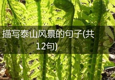 描写泰山风景的句子(共12句)