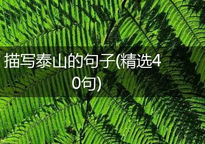 描写泰山的句子(精选40句)