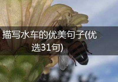 描写水车的优美句子(优选31句)