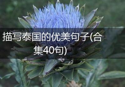 描写泰国的优美句子(合集40句)