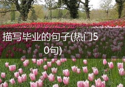 描写毕业的句子(热门50句)