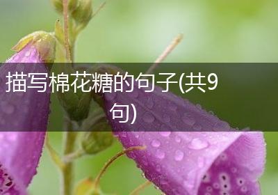 描写棉花糖的句子(共9句)
