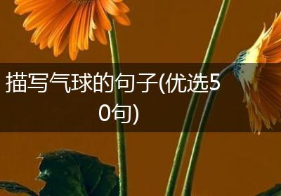 描写气球的句子(优选50句)