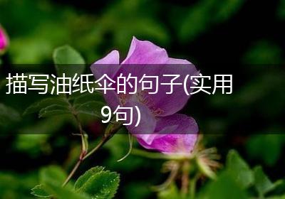 描写油纸伞的句子(实用9句)